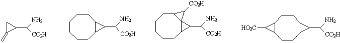 Image530.gif (1525 bytes)
