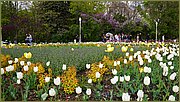 dsc05773.jpg