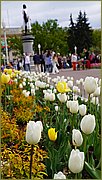 dsc05777.jpg