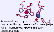 ferm2.gif (5911 bytes)
