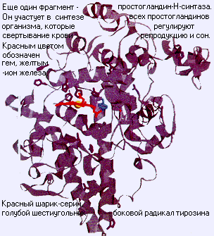 ferm3.gif (44100 bytes)