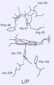 ferm6.gif (7260 bytes)