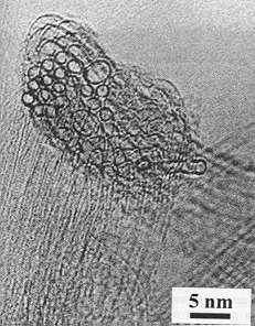 nanatr.gif (84154 bytes)