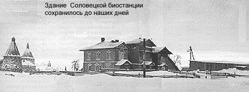 solov2.gif (94573 bytes)