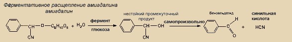 cianid3.jpg (10829 bytes)