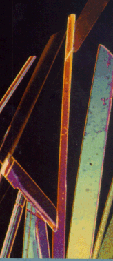 krist4.gif (39264 bytes)