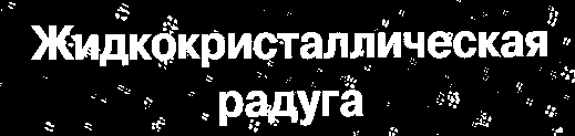 zagl1.gif (2644 bytes)