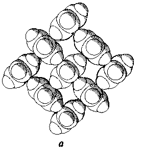 pic13.gif (4218 bytes)