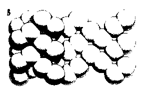 pic20.gif (2201 bytes)