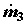 Image905.gif (900 bytes)